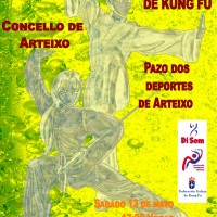 Cartel Campeonato Interprovincial de Kung Fu